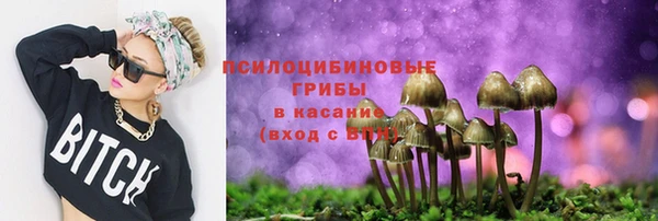 мдпв Нея