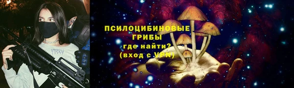 прущие крисы Нефтекумск