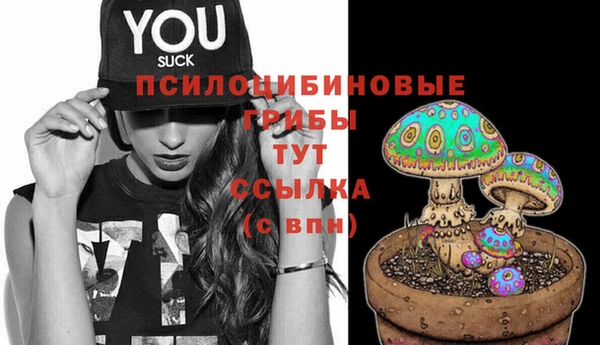 МДМА Новодвинск