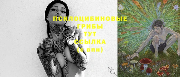 мдпв Нея