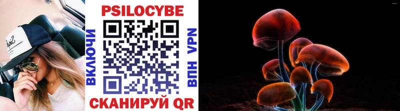 купить наркотики цена  гидра маркетплейс  Псилоцибиновые грибы Psilocybe  Палласовка 